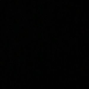 Meet your Posher, Will